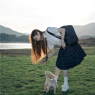 蝴蝶大冒险